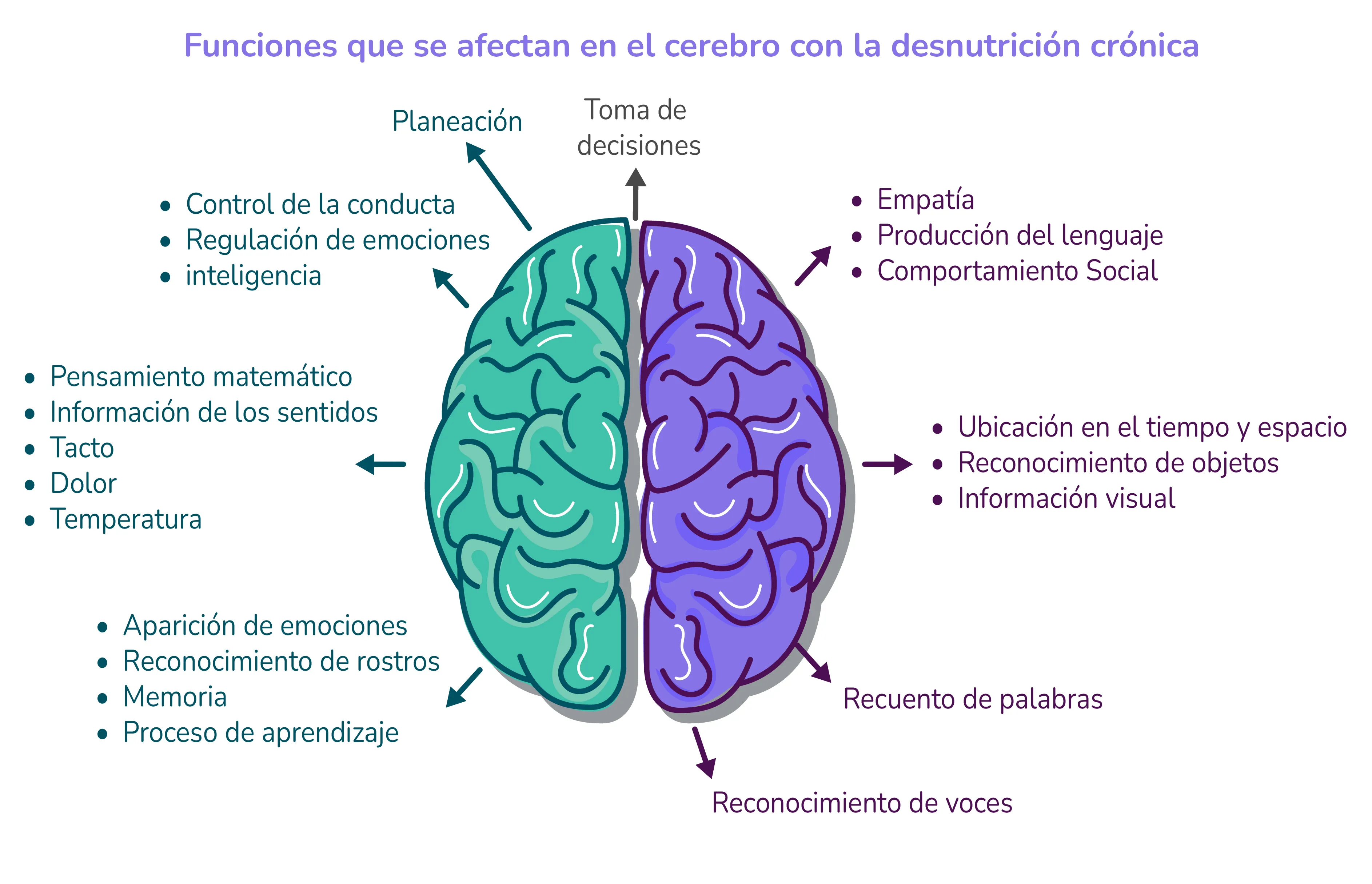 cerebro